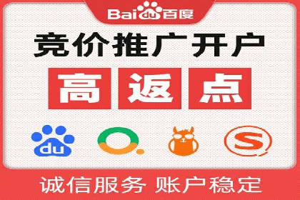 百度推广在电商行业的应用案例